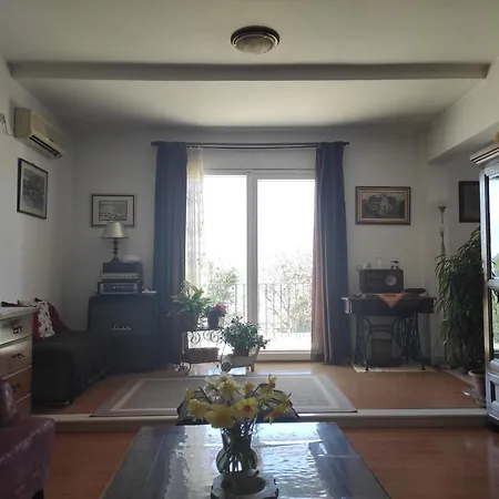 Vila Maslina Mlini