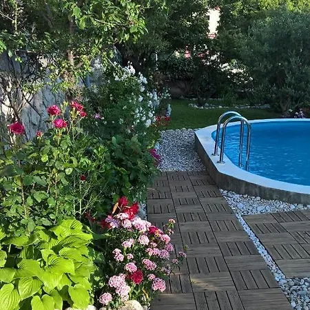 Vila Maslina Villa *