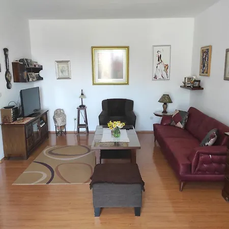 Vila Maslina Mlini