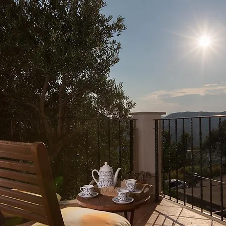 Villa Vila Maslina Mlini